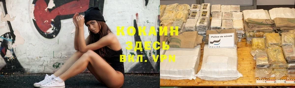 шишки Нея