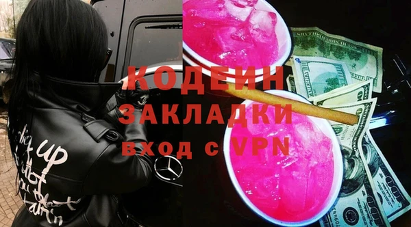 шишки Нея