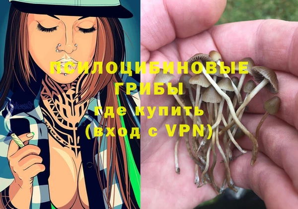 шишки Нея