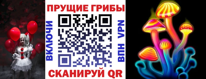 Купить закладки Дубна Псилоцибиновые грибы GOLDEN TEACHER