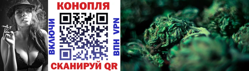 Купить закладки  Дубна  Бошки марихуана OG Kush 